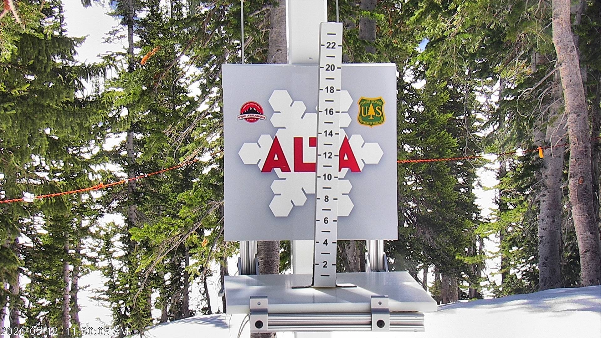Alta Ski Area snow stake cam