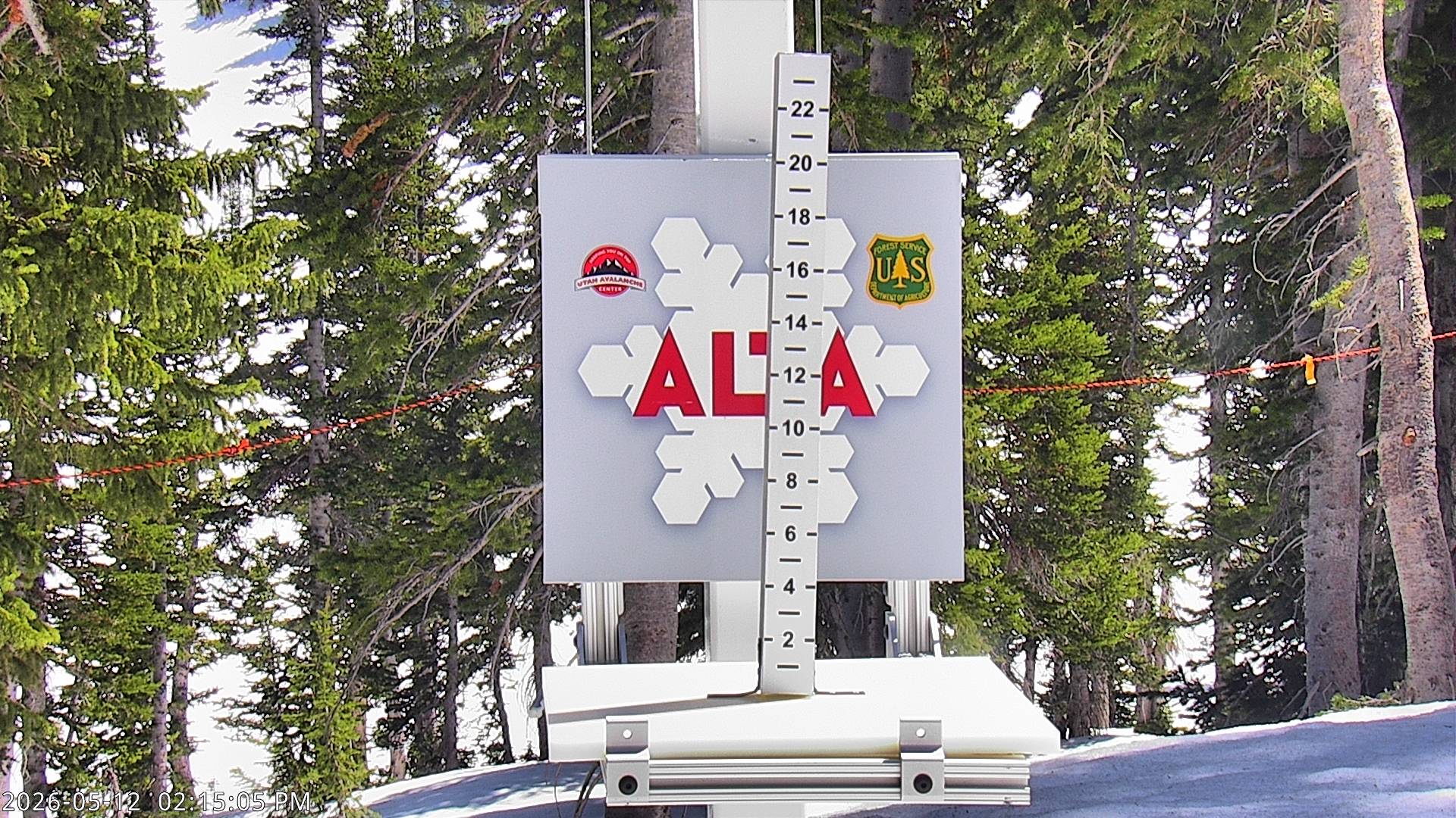 Alta Ski Area snow stake cam