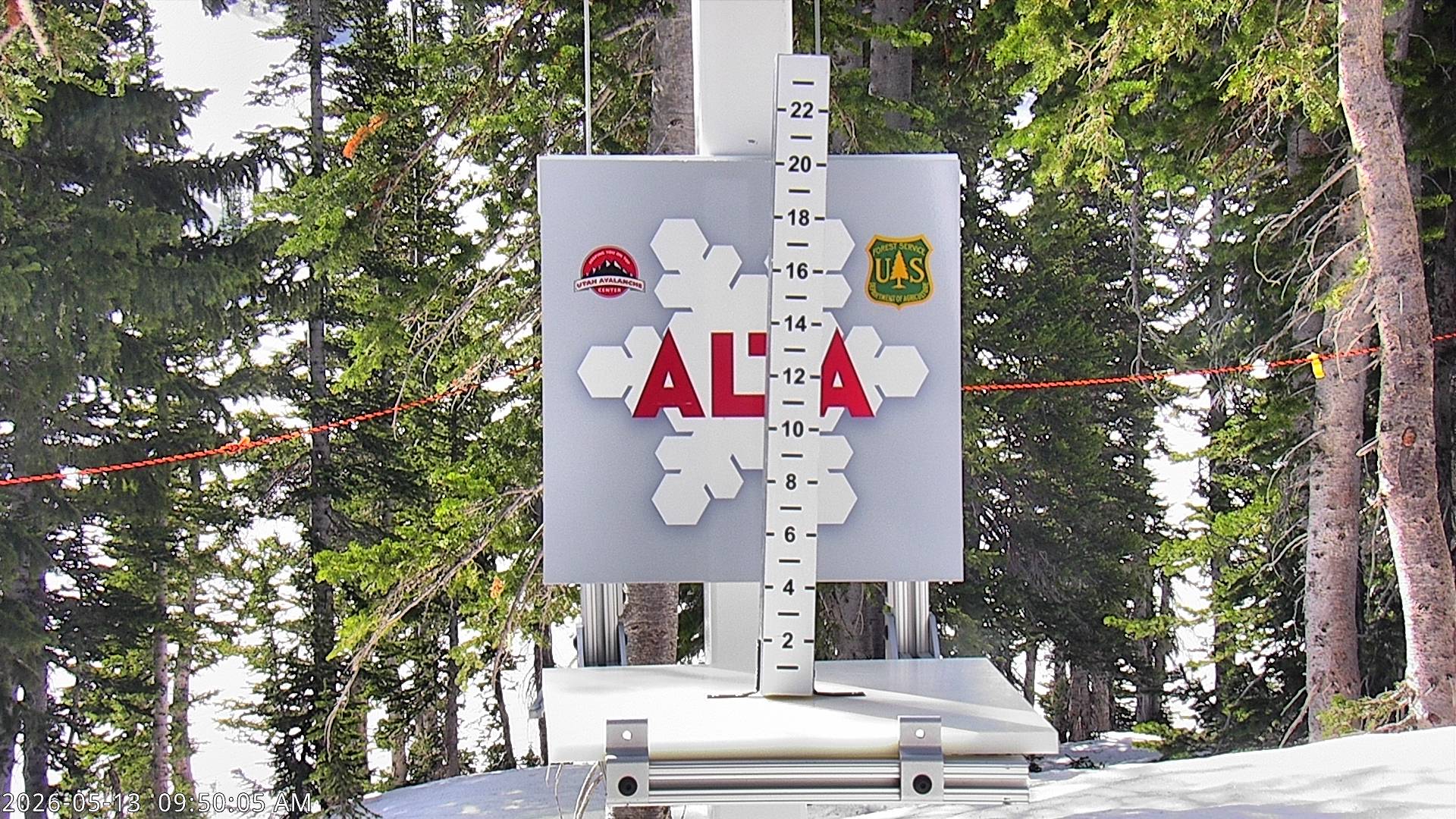 Alta Ski Area snow stake cam