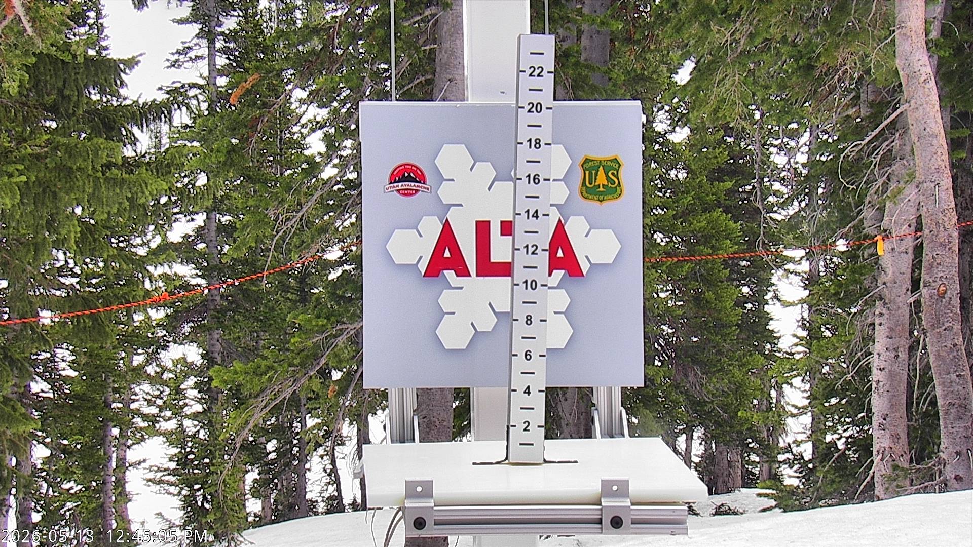 Alta Ski Area snow stake cam
