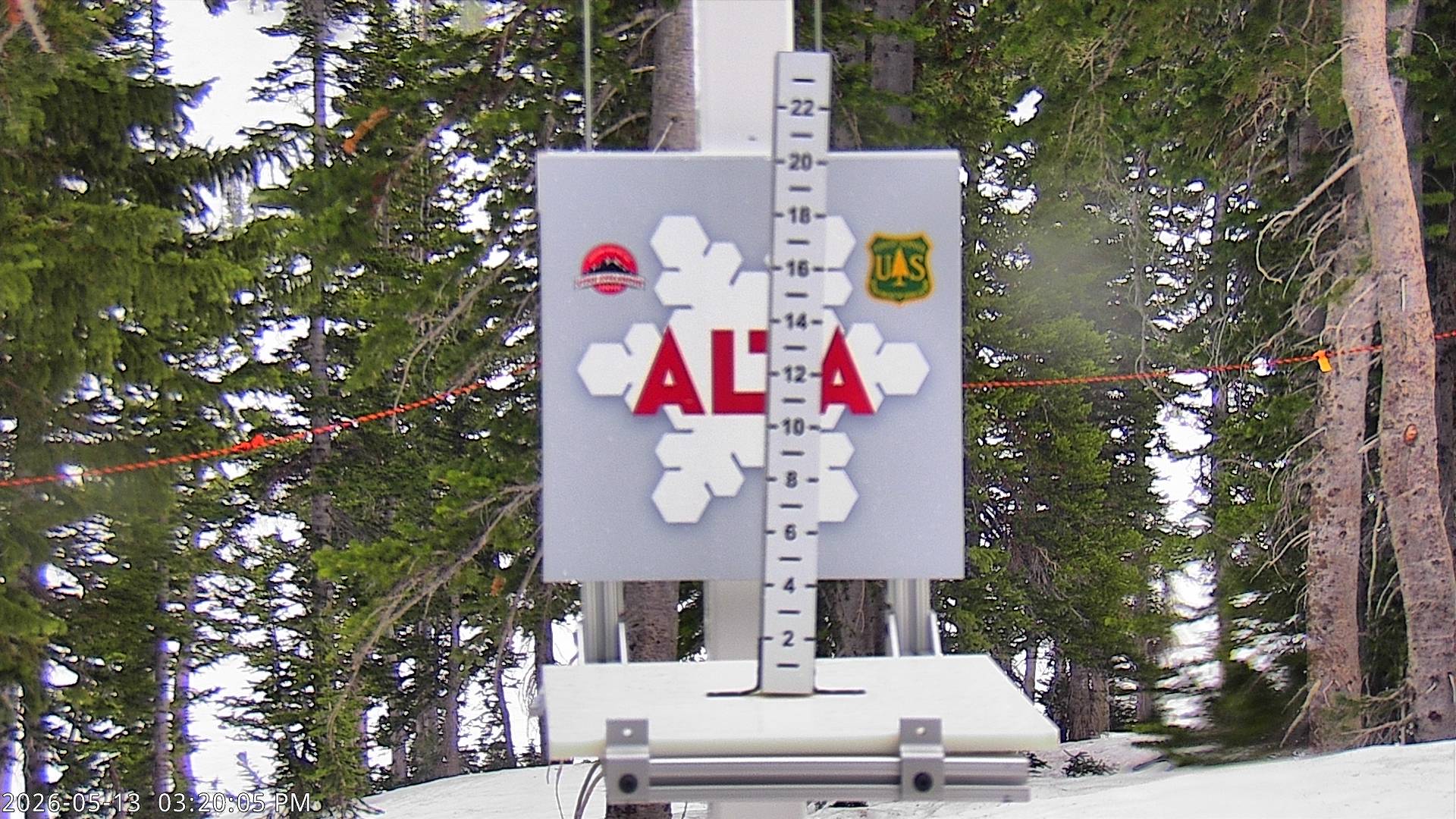 Alta Ski Area snow stake cam