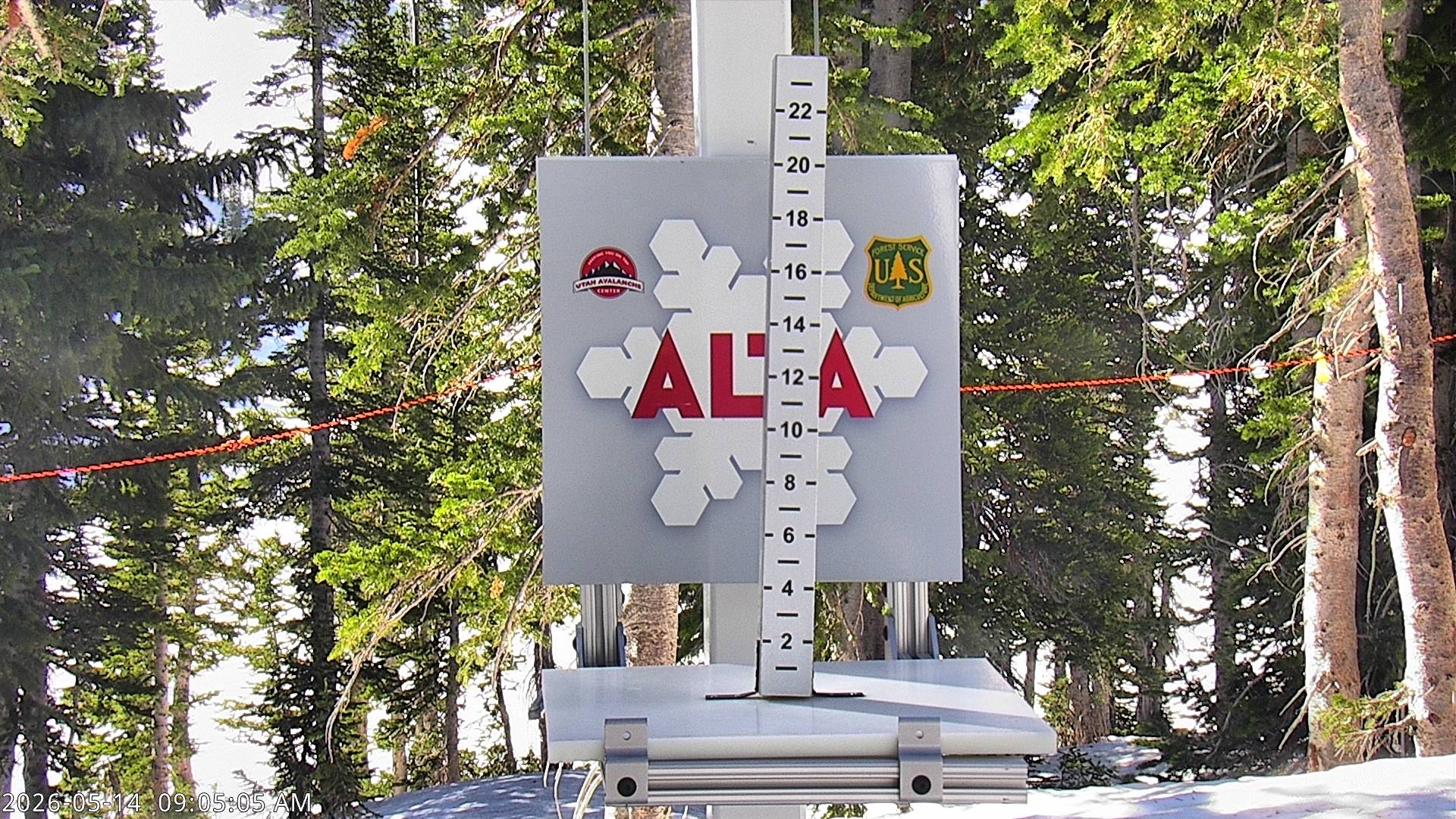 Alta Ski Area snow stake cam