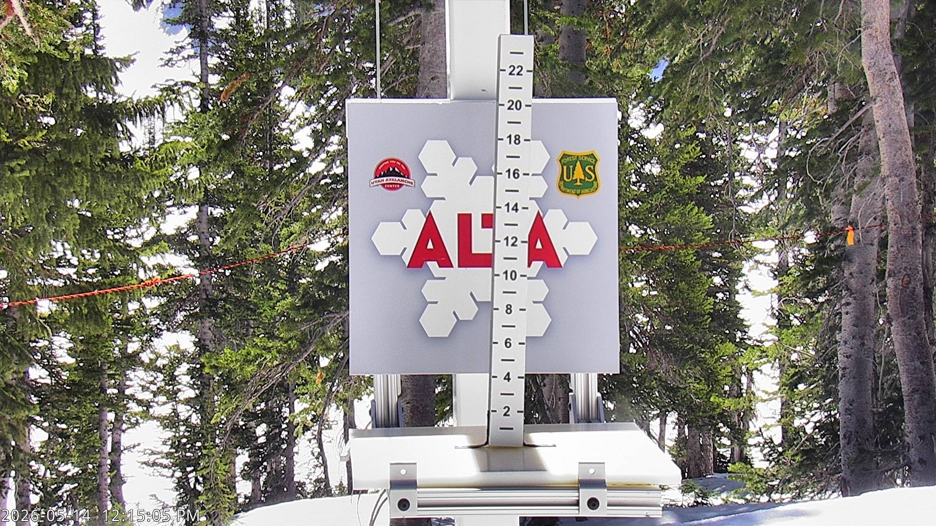 Alta Ski Area snow stake cam