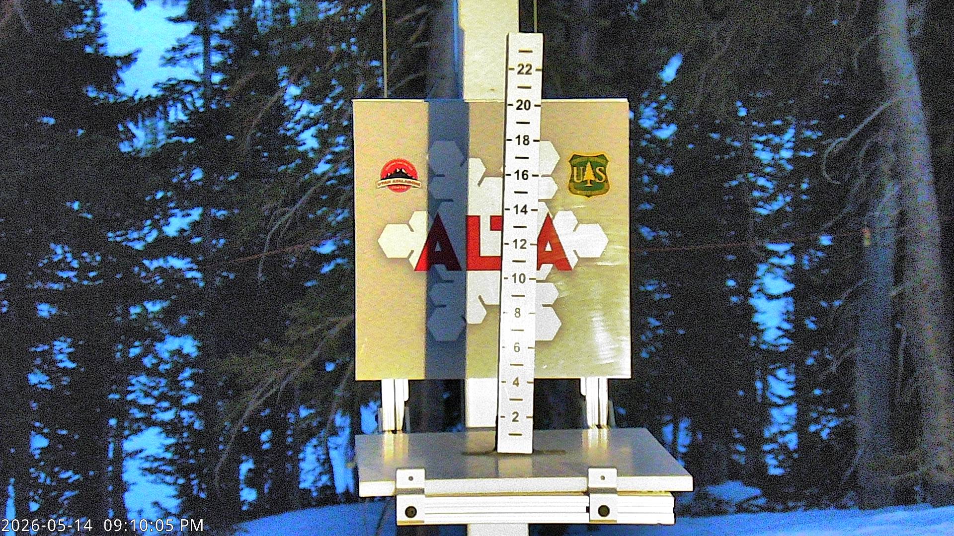 Alta Ski Area snow stake cam