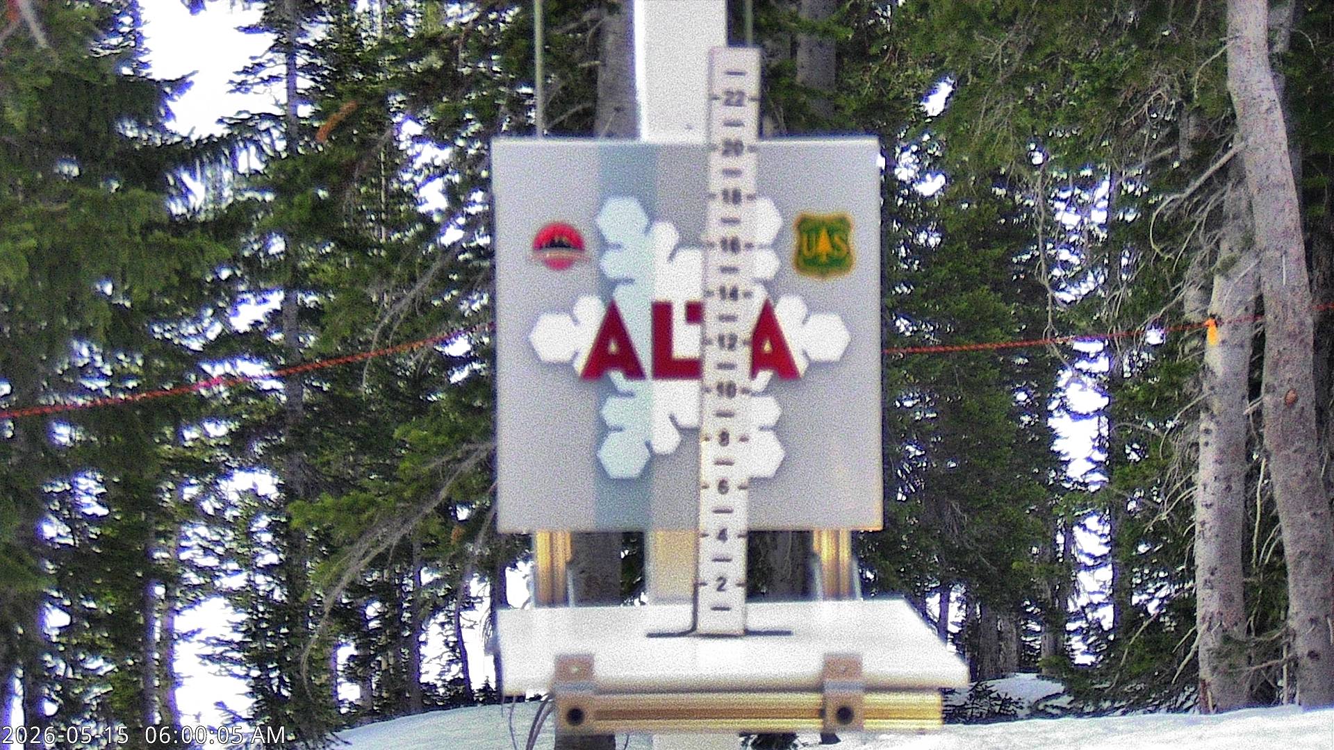 Alta Ski Area snow stake cam