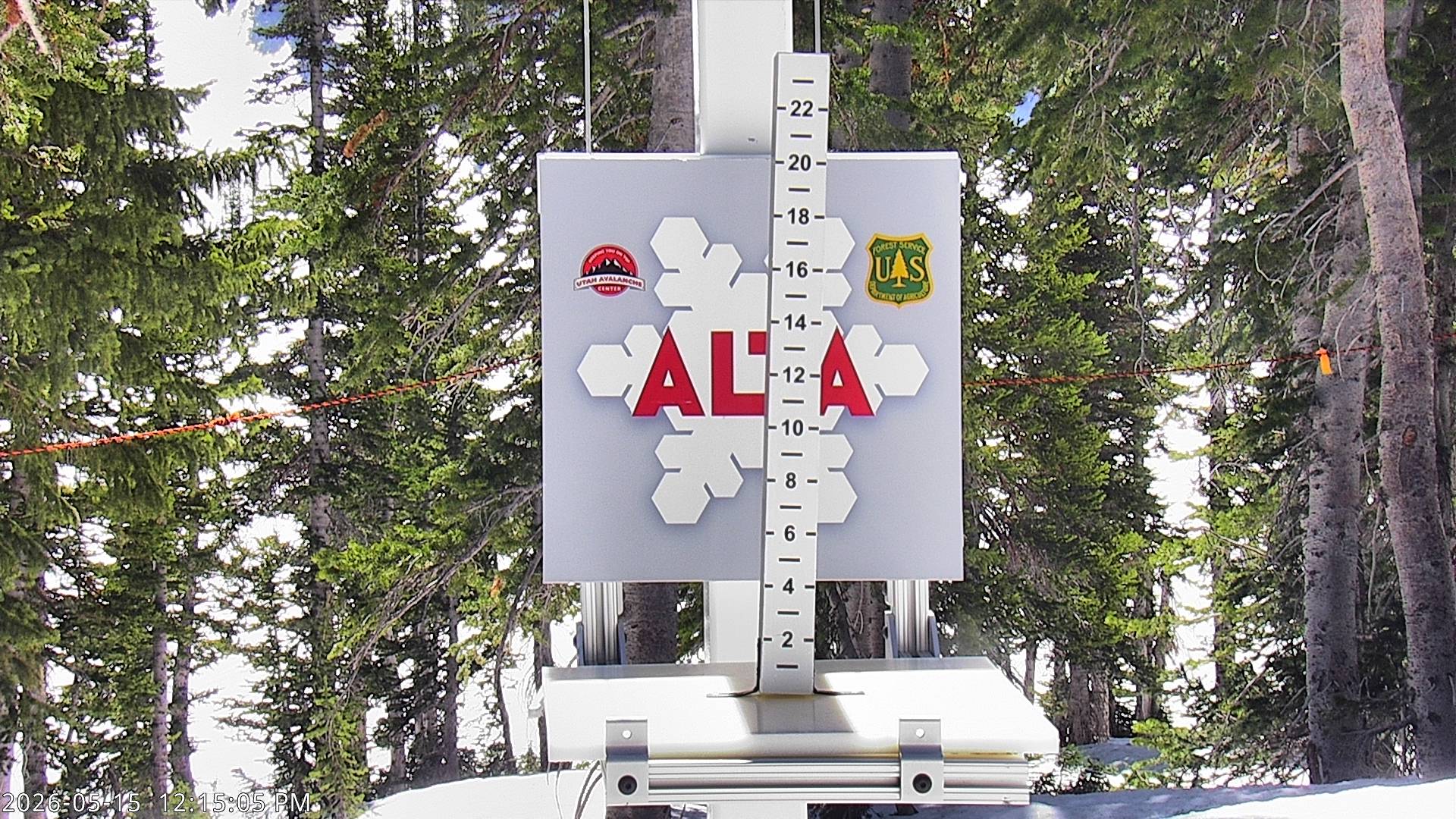 Alta Ski Area snow stake cam