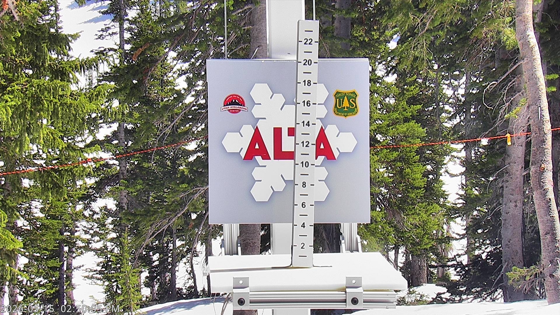 Alta Ski Area snow stake cam