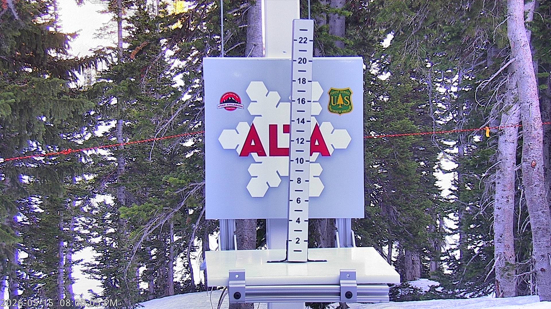 Alta Ski Area snow stake cam
