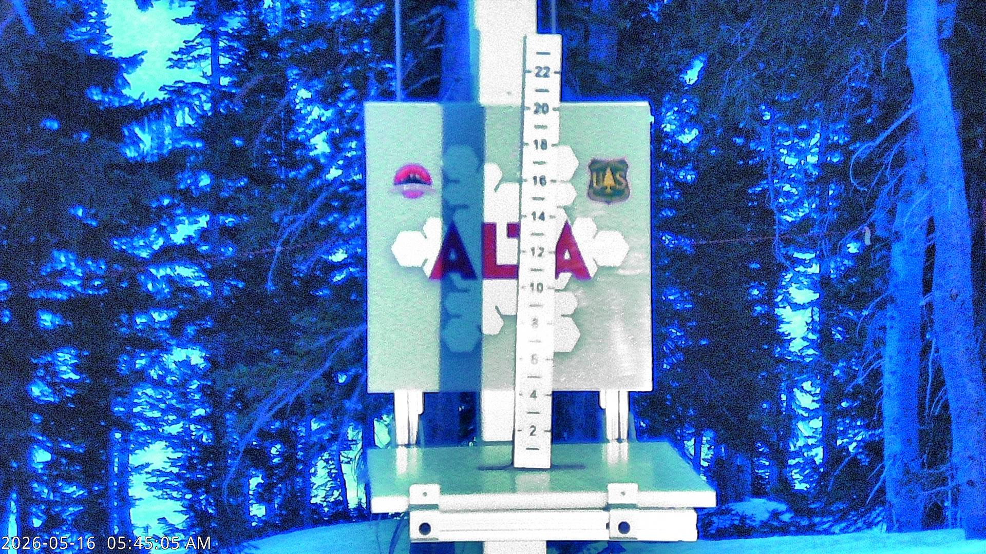 Alta Ski Area snow stake cam
