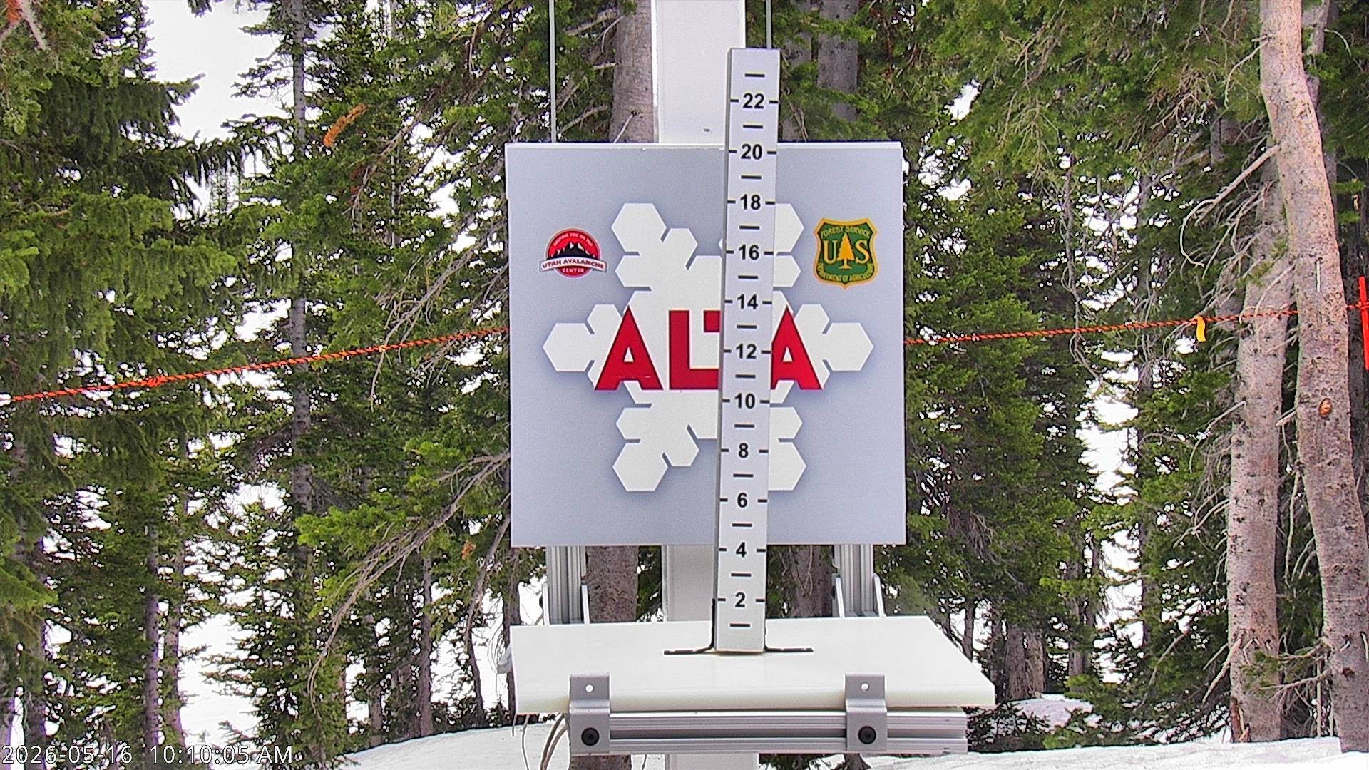 Alta Ski Area snow stake cam