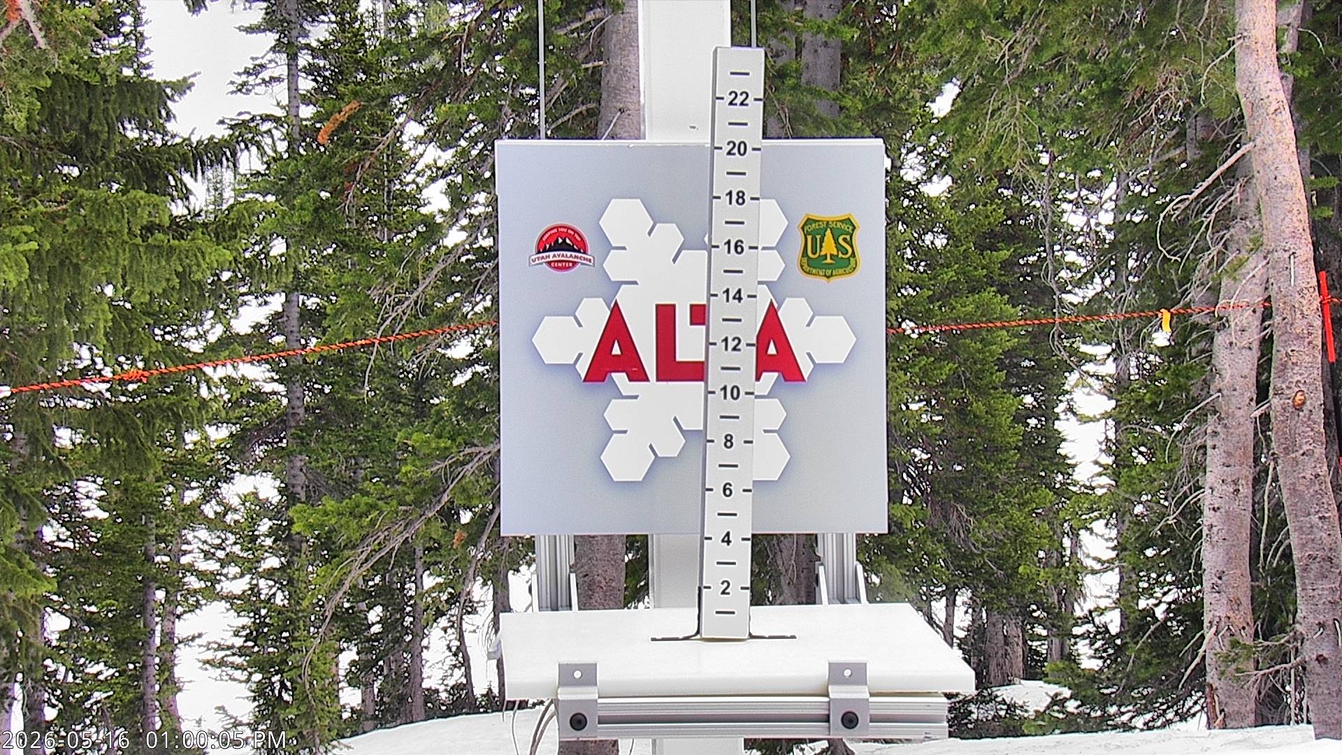 Alta Ski Area snow stake cam