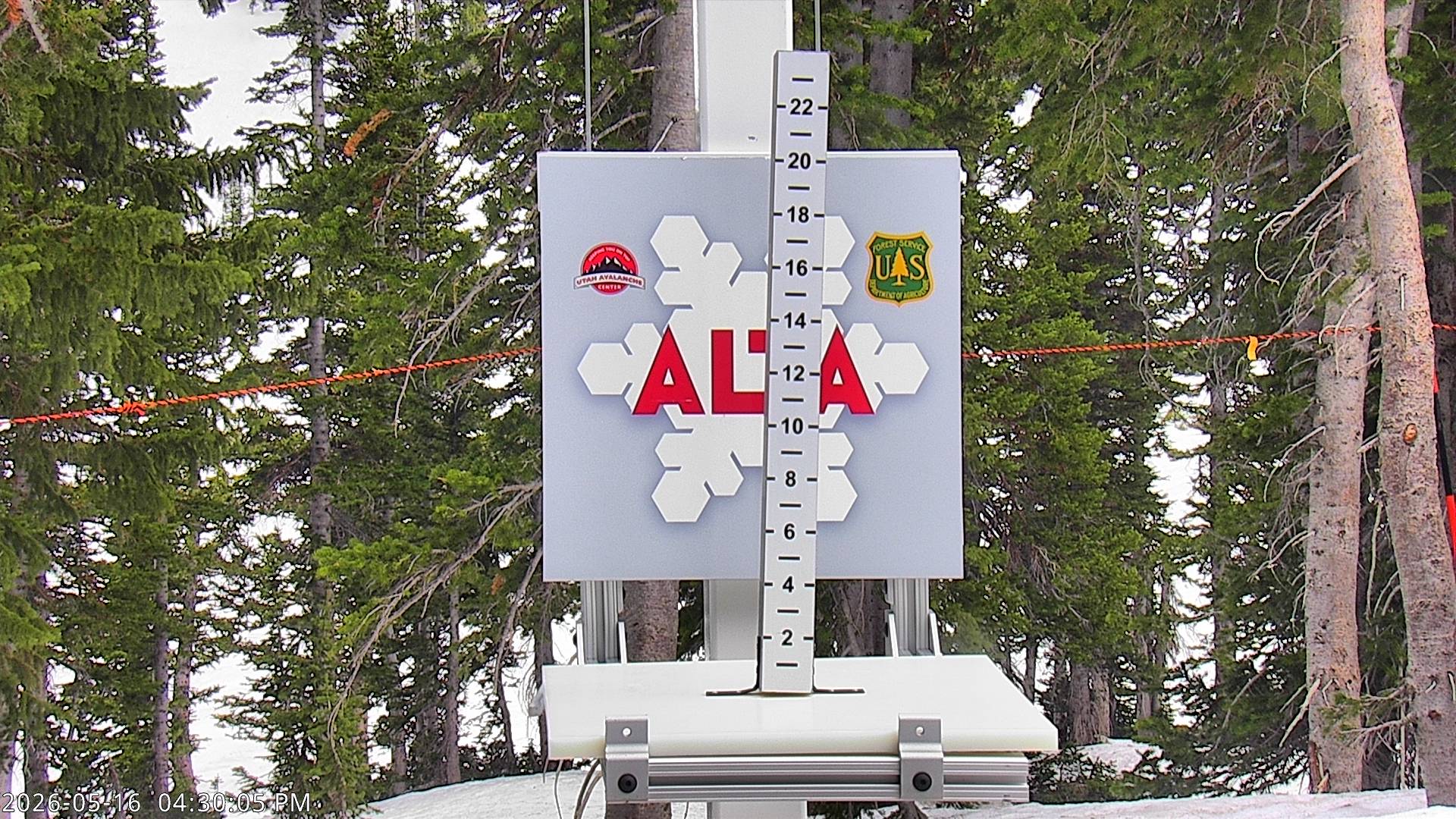Alta Ski Area snow stake cam