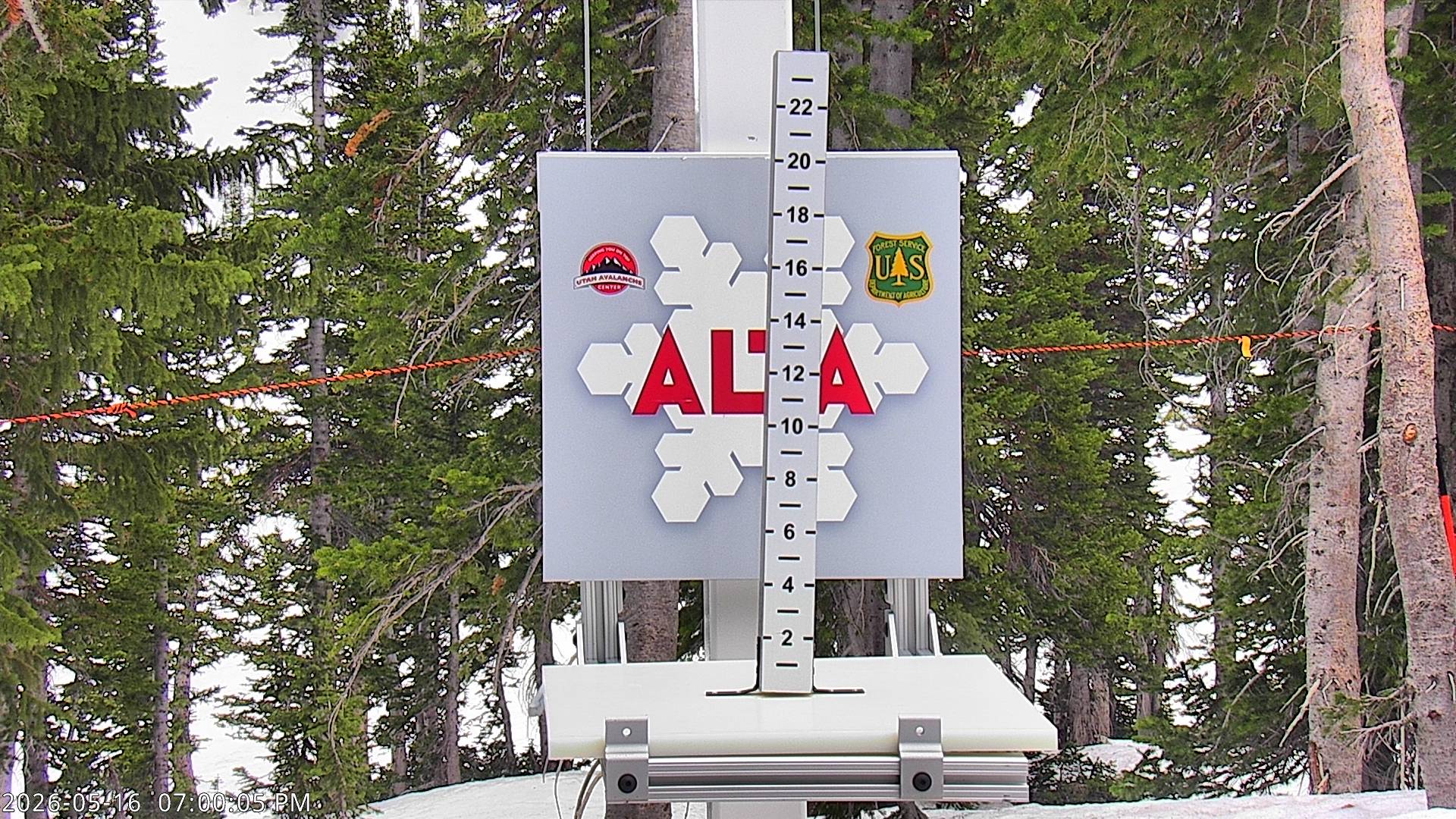 Alta Ski Area snow stake cam