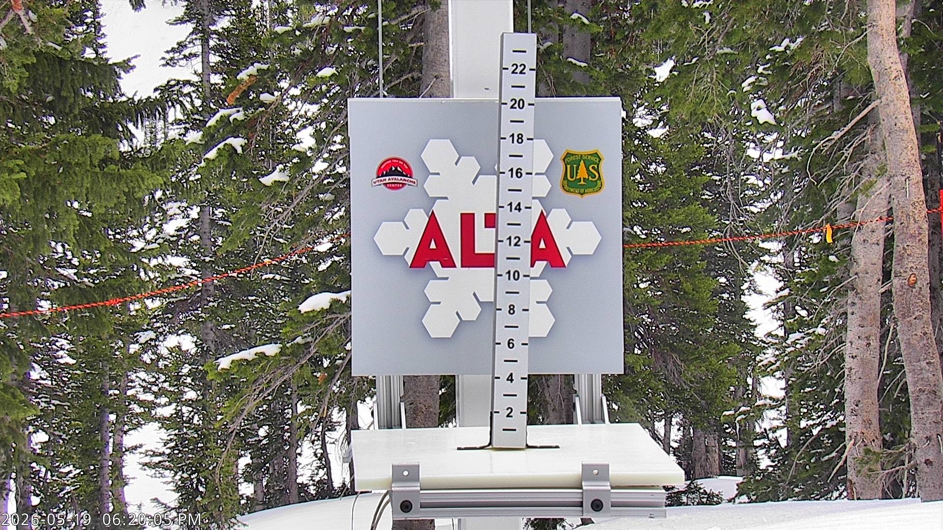 Alta Ski Area snow stake cam