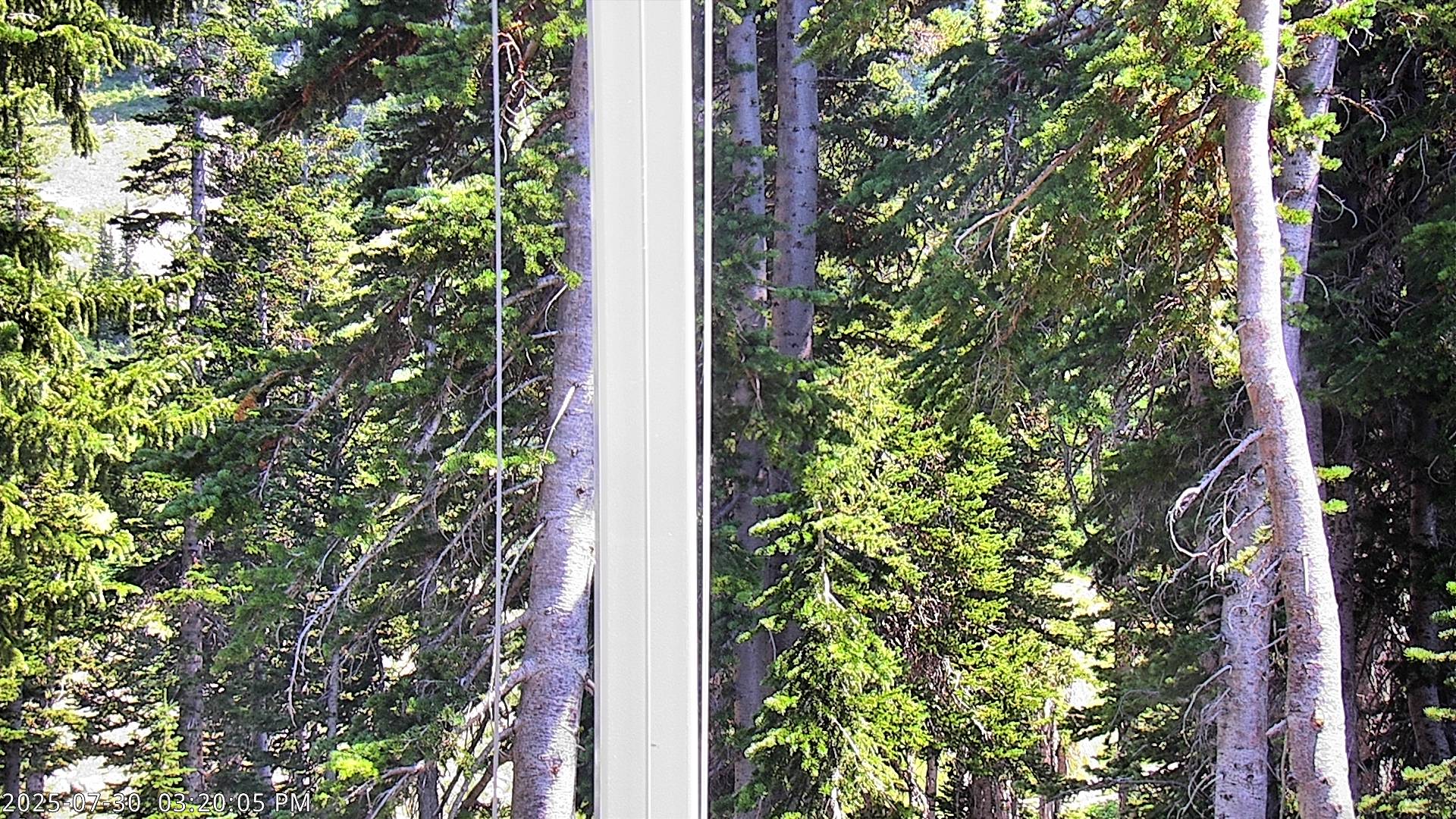 Alta Snow Stake