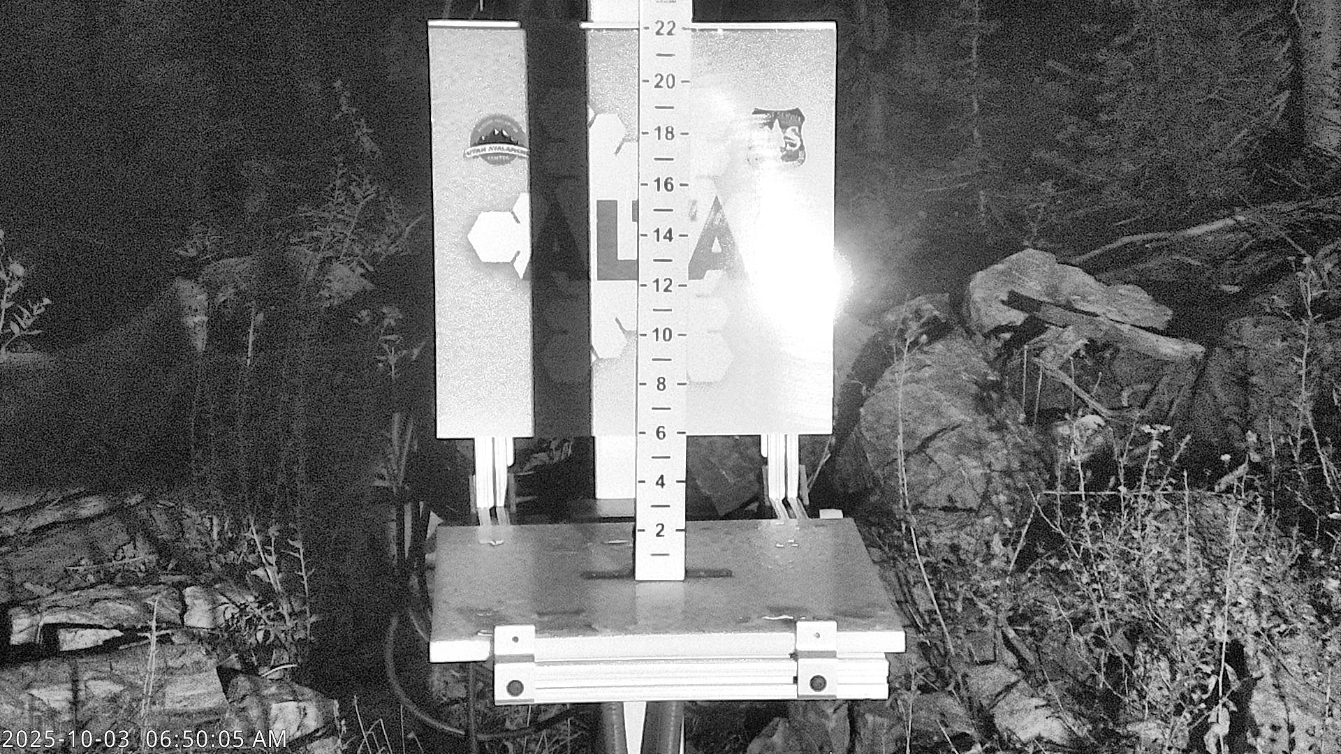 Alta Snow Stake