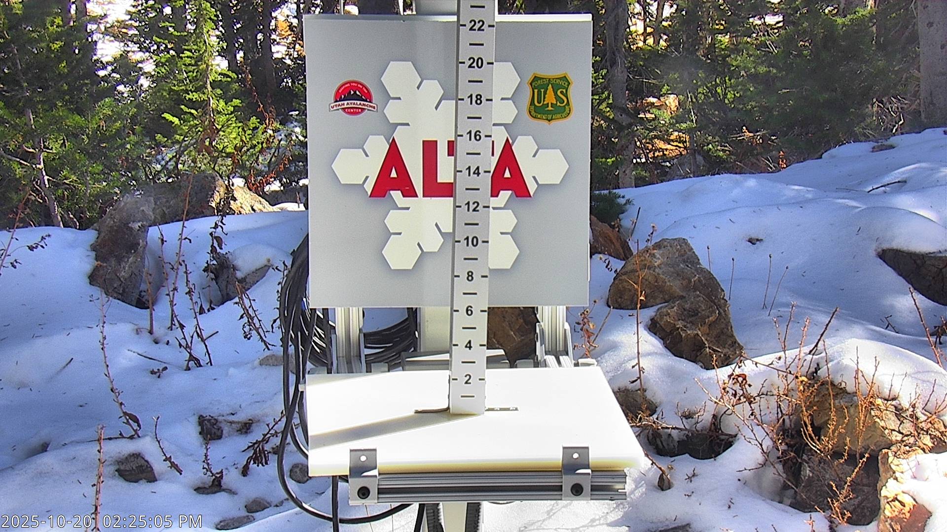 Alta Snow Stake
