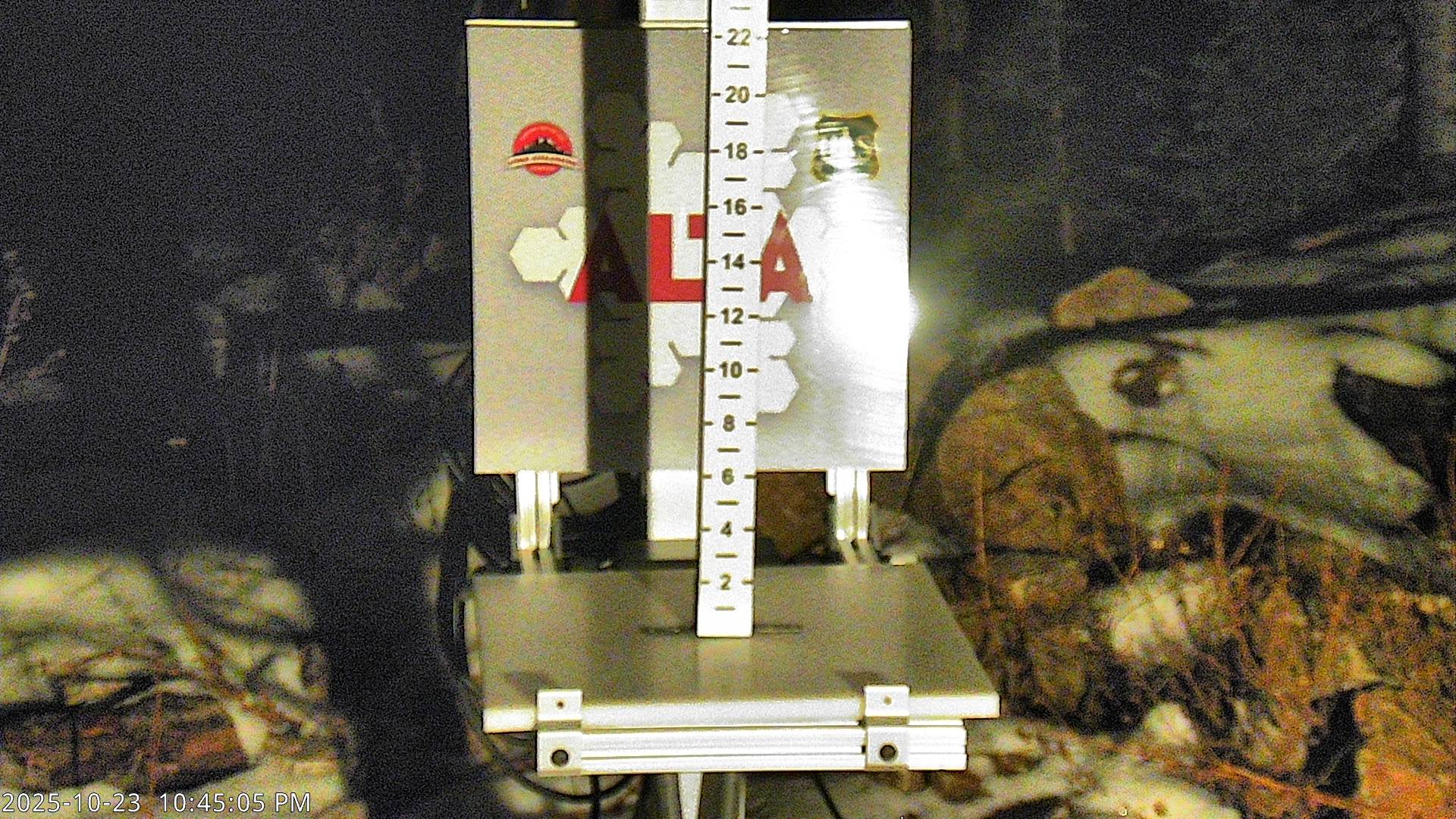 Alta Snow Stake