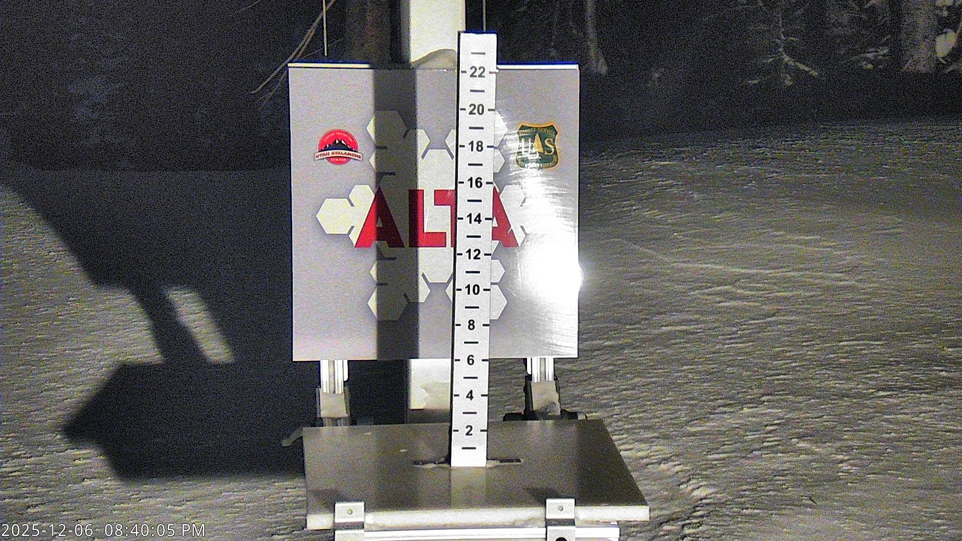 Alta Snow Stake