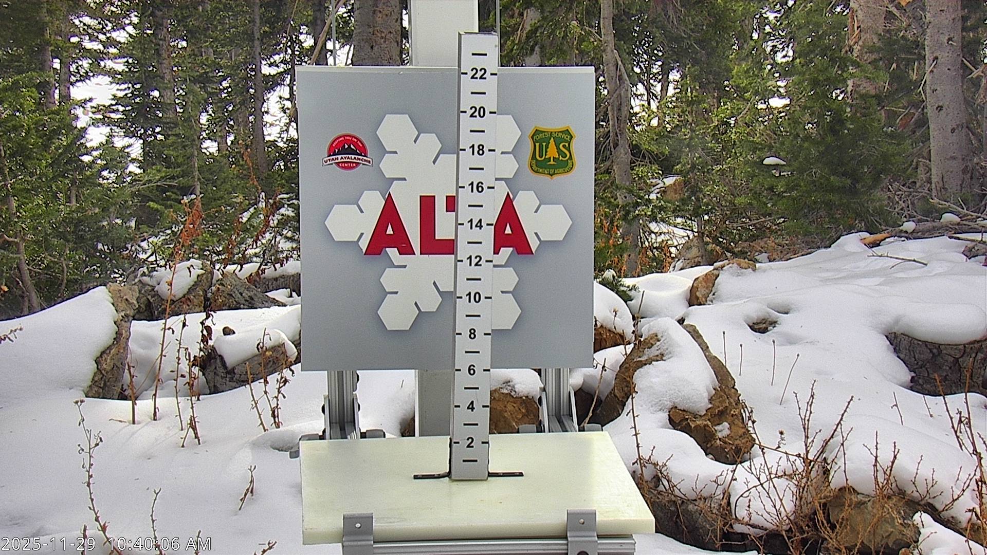 Alta Snow Stake