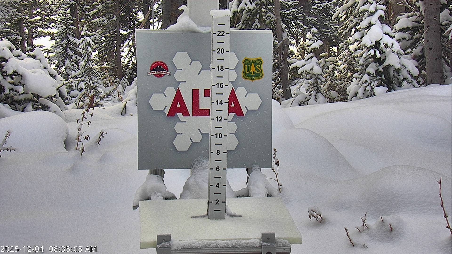 Alta Snow Stake