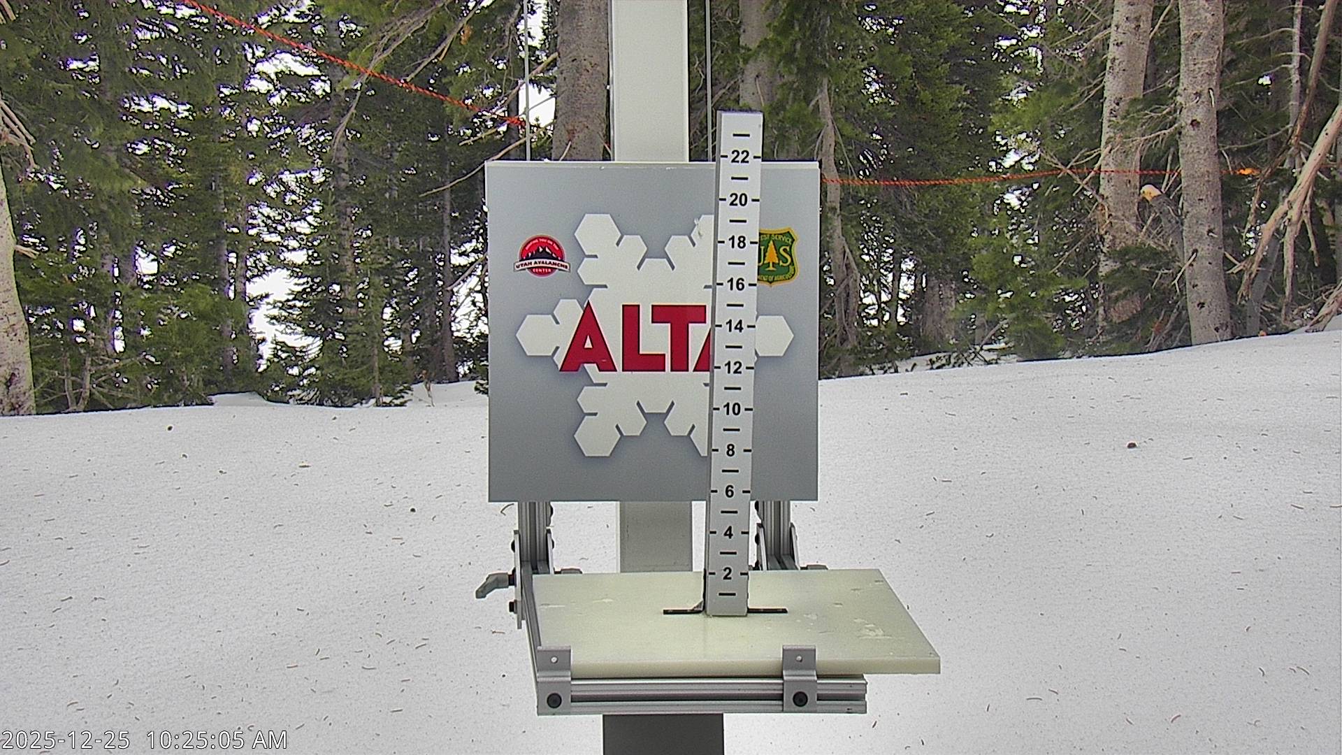Alta Snow Stake