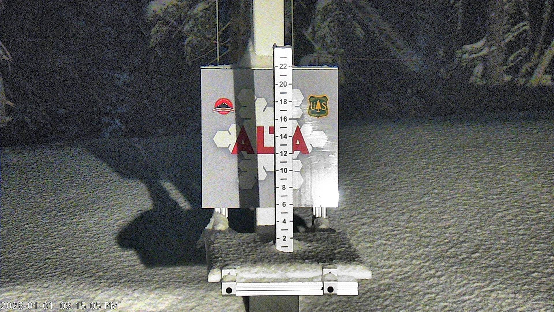 Alta Snow Stake