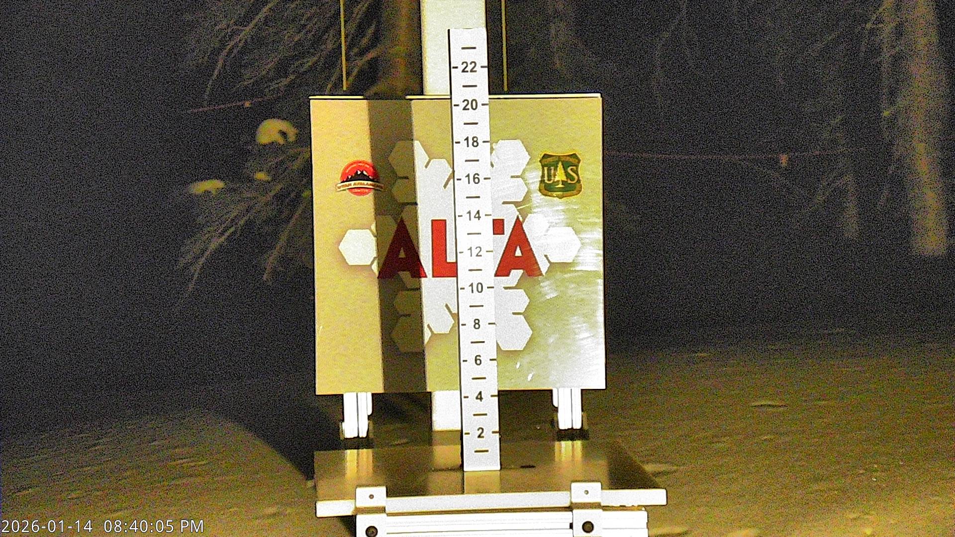 Alta Snow Stake