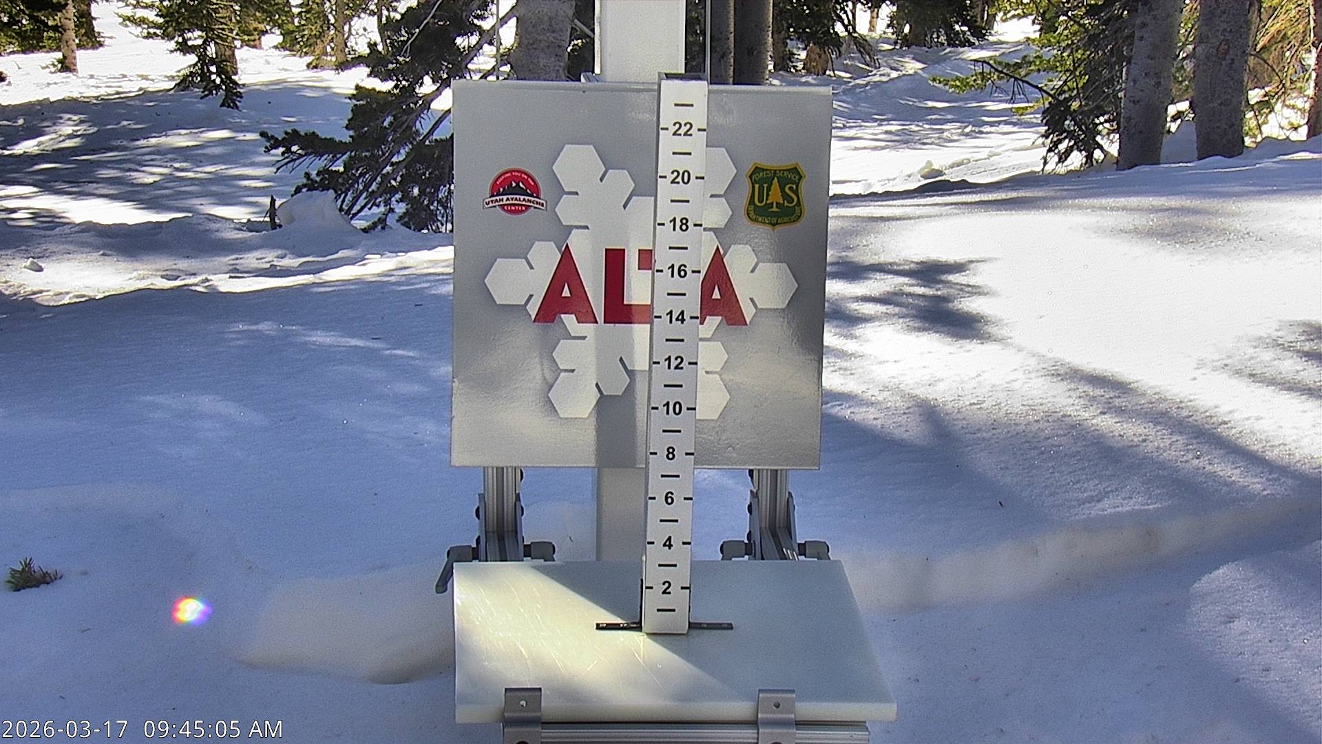 Alta Snow Stake