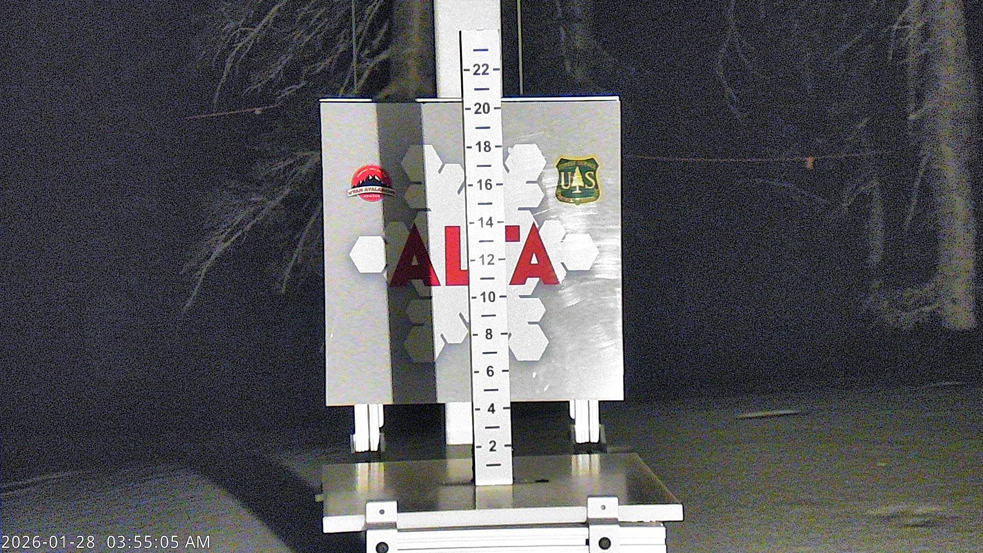 Alta Snow Stake
