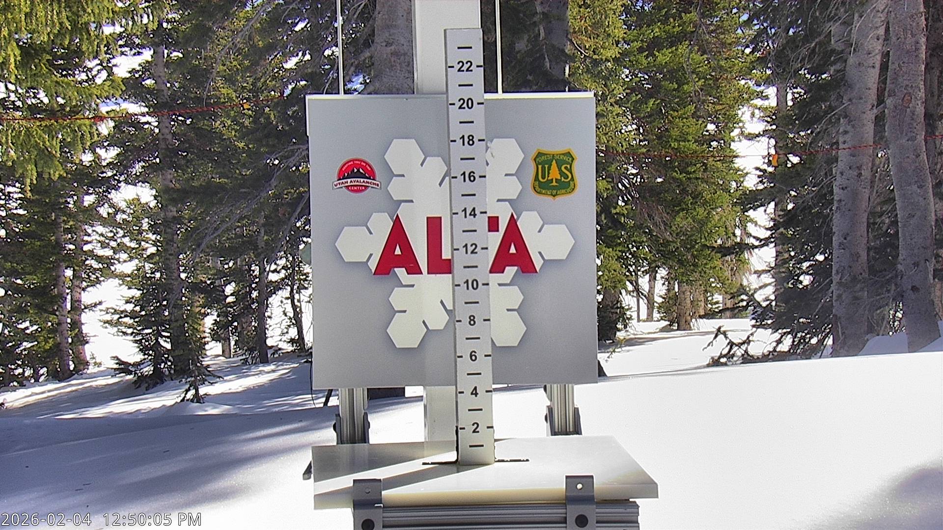 Alta Snow Stake