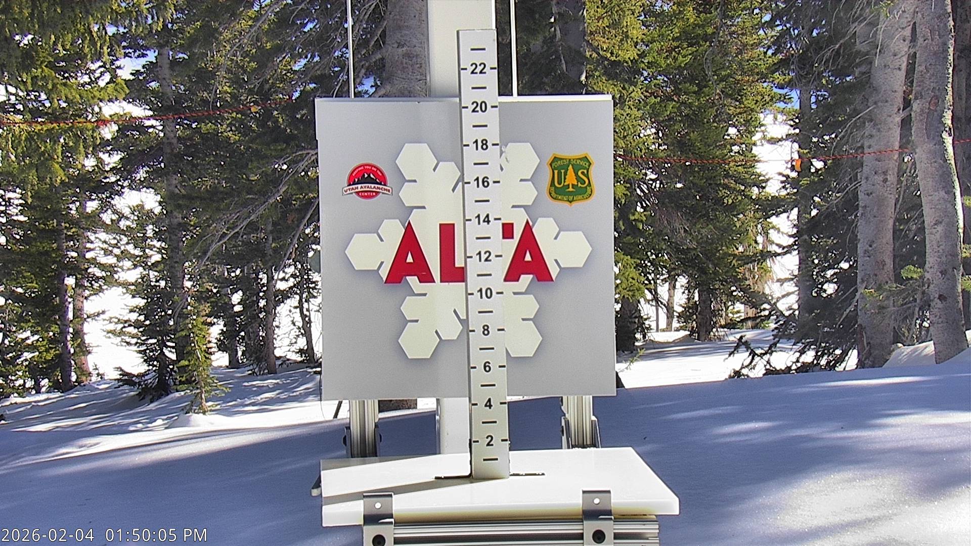 Alta Snow Stake