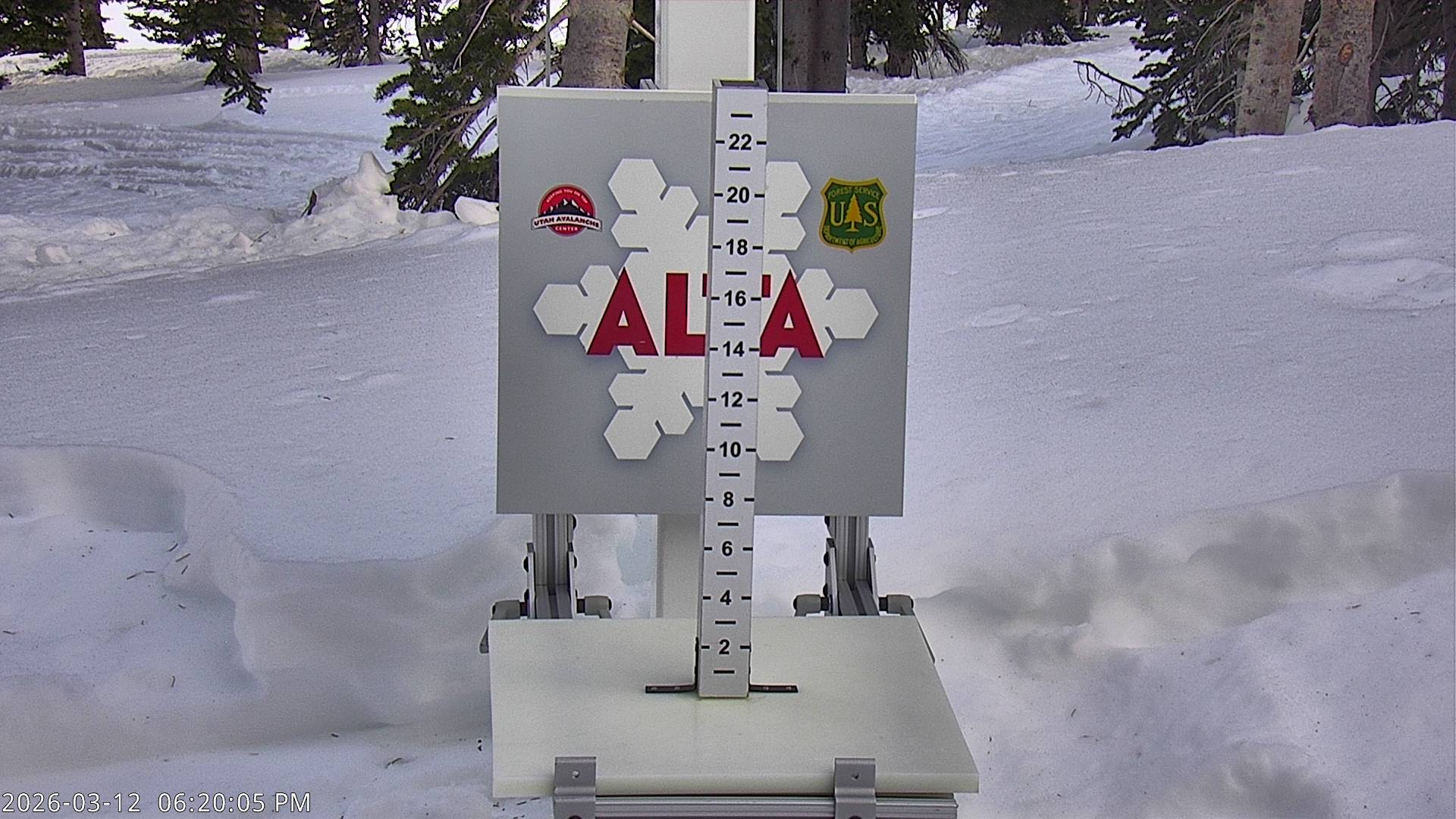 Alta Snow Stake