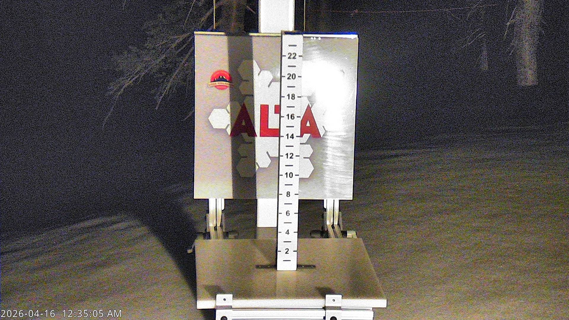 Alta Snow Stake