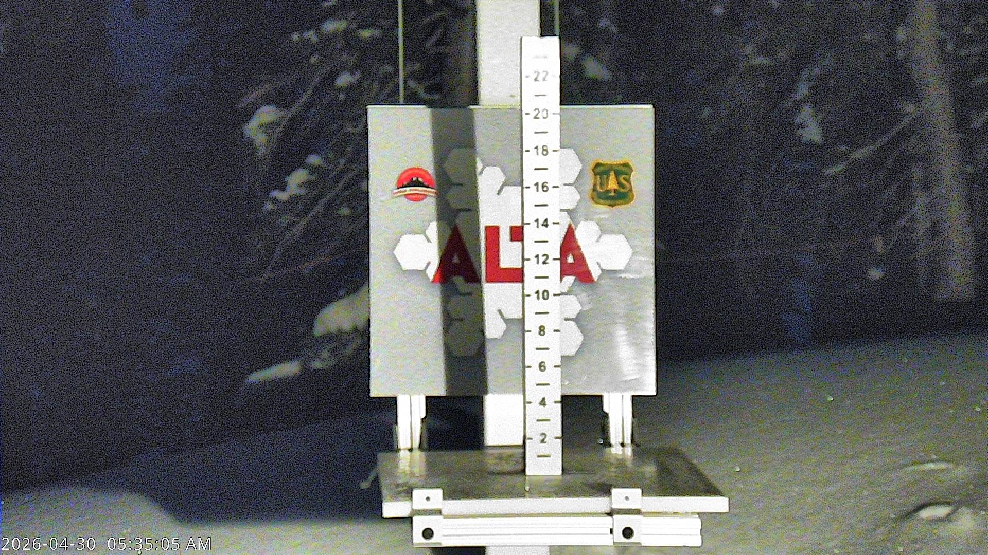 Alta Snow Stake