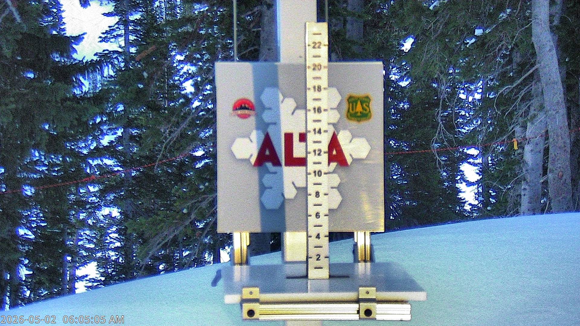 Alta Snow Stake