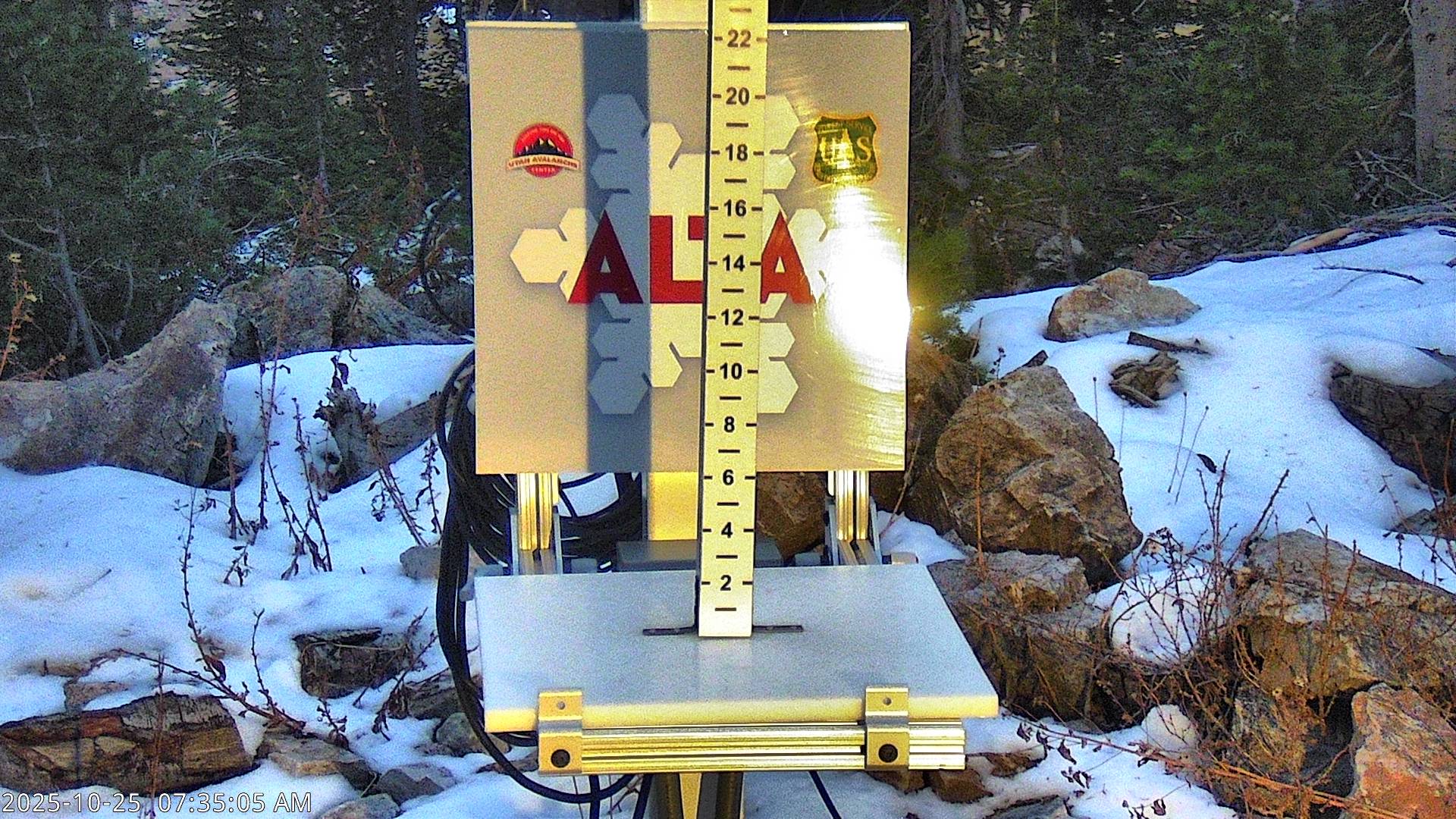 Alta Snow Stake
