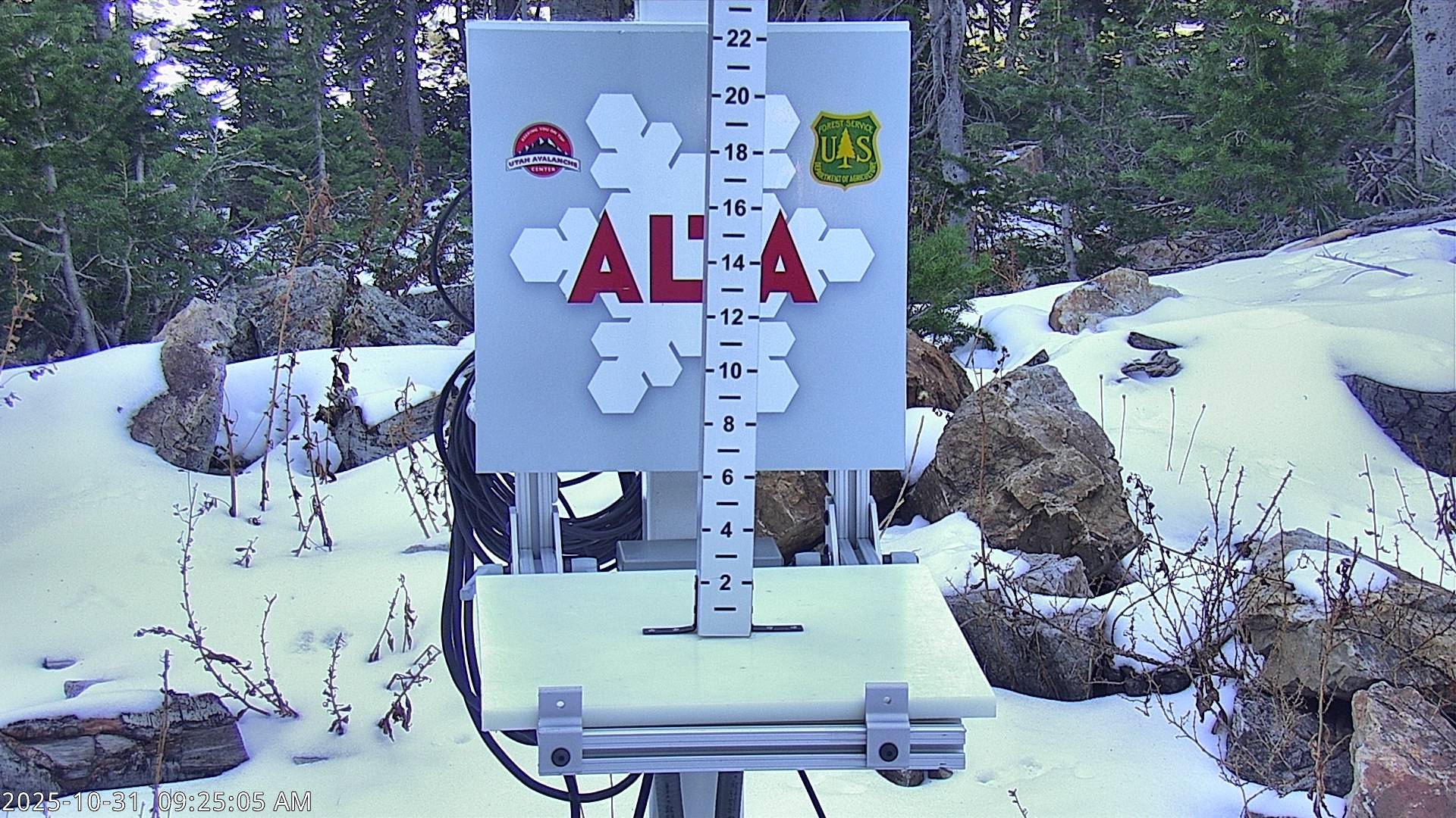 Alta Snow Stake