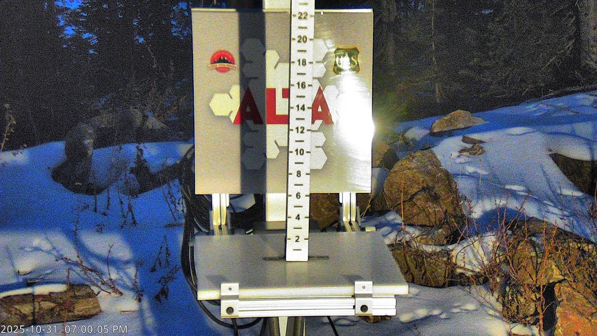 Alta Snow Stake