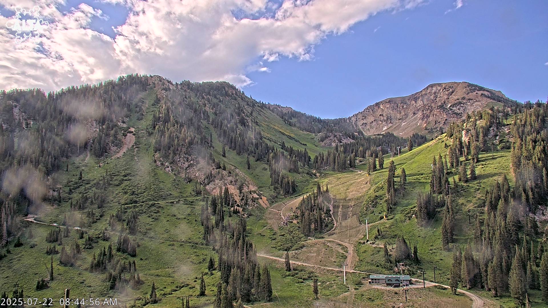 Alta High Rustler