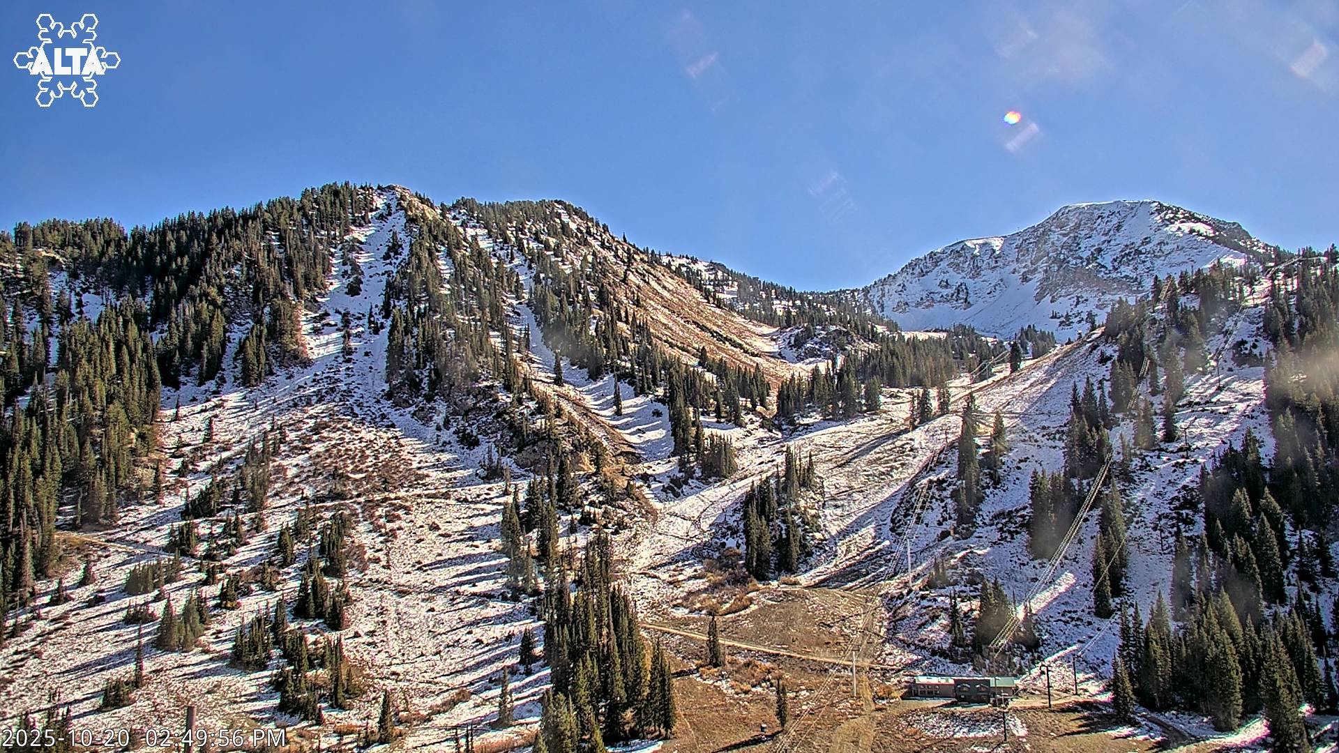 Alta High Rustler