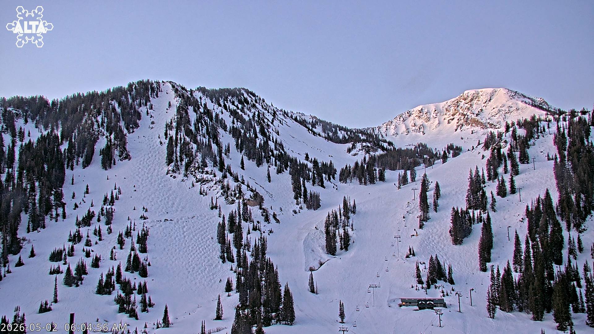 Alta High Rustler